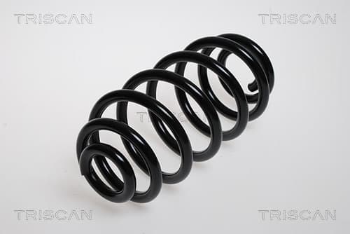 Spiralfjäder bak från TRISCAN