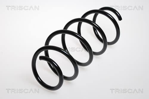 Spiralfjäder fram från TRISCAN