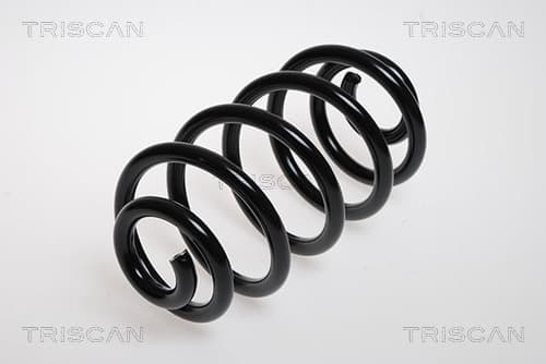 Spiralfjäder bak från TRISCAN