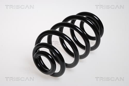 Spiralfjäder bak från TRISCAN
