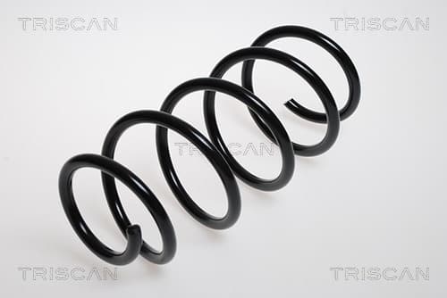 Spiralfjäder fram från TRISCAN