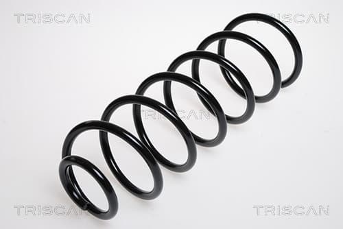 Spiralfjäder bak från TRISCAN