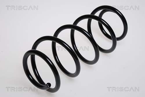 Spiralfjäder fram från TRISCAN