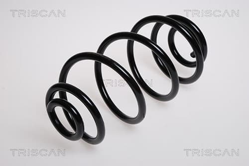 Spiralfjäder bak från TRISCAN