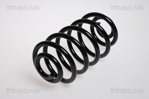 Spiralfjäder bak från TRISCAN