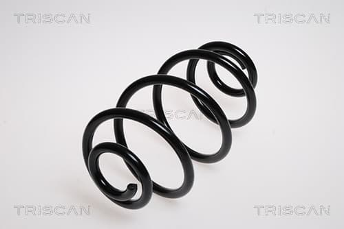 Spiralfjäder bak från TRISCAN