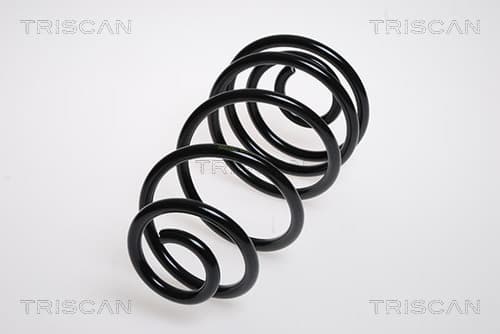 Spiralfjäder bak från TRISCAN