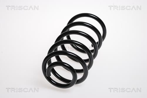 Spiralfjäder bak från TRISCAN