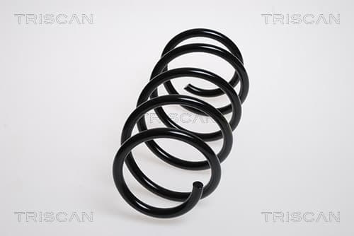 Spiralfjäder fram från TRISCAN