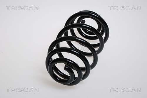Spiralfjäder bak från TRISCAN