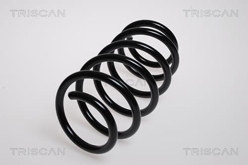 Spiralfjäder fram från TRISCAN