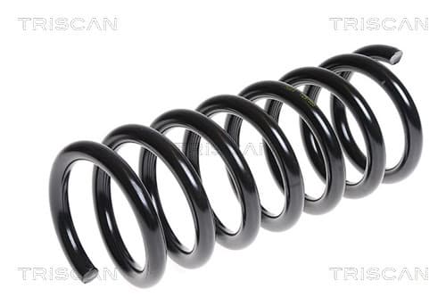 Spiralfjäder bak från TRISCAN