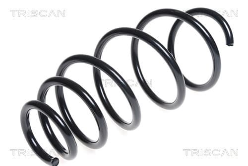 Spiralfjäder fram från TRISCAN