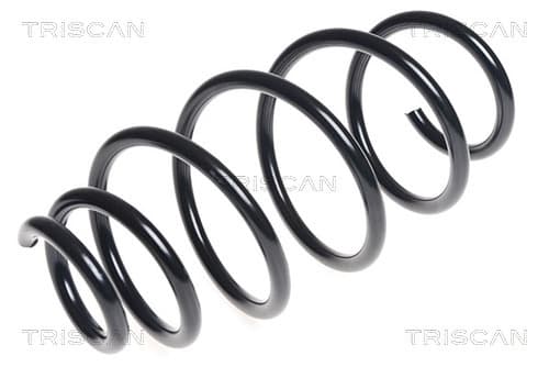 Spiralfjäder fram från TRISCAN