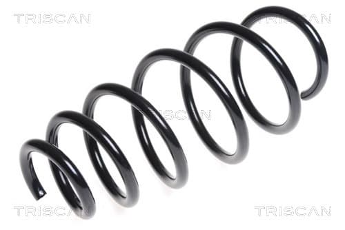 Spiralfjäder fram från TRISCAN