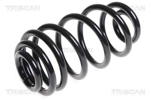 Spiralfjäder bak från TRISCAN