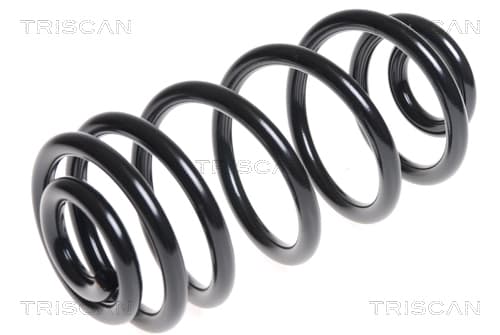 Spiralfjäder bak från TRISCAN