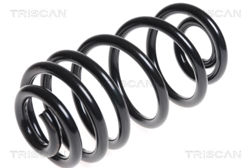 Spiralfjäder bak — Bakaxel från TRISCAN