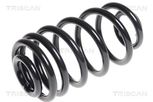 Spiralfjäder bak från TRISCAN
