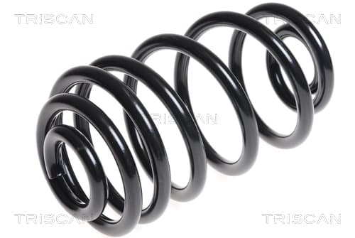 Spiralfjäder bak från TRISCAN