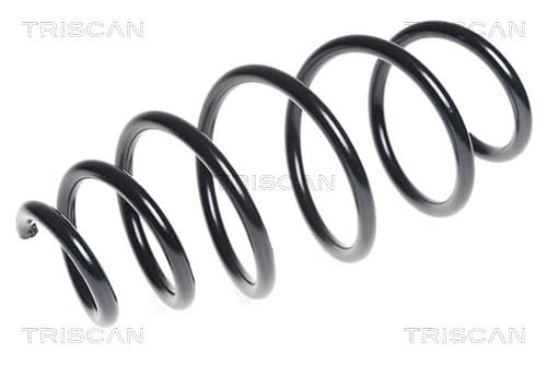 Spiralfjäder fram från TRISCAN