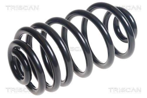 Spiralfjäder bak från TRISCAN