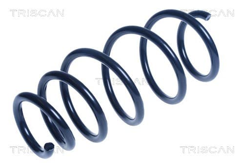 Spiralfjäder fram från TRISCAN