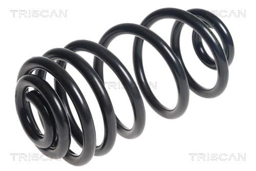 Spiralfjäder bak från TRISCAN