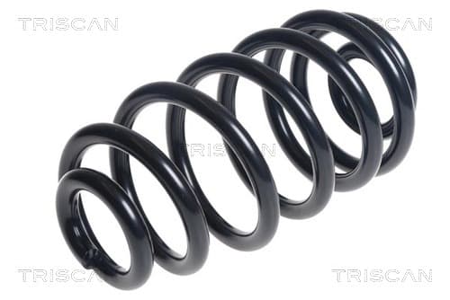 Spiralfjäder bak från TRISCAN
