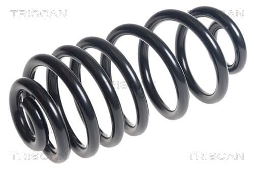 Spiralfjäder bak från TRISCAN