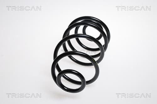 Spiralfjäder bak från TRISCAN