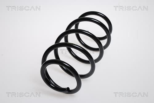 Spiralfjäder fram från TRISCAN
