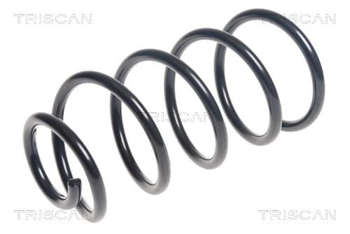 Spiralfjäder bak från TRISCAN
