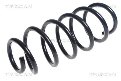 Spiralfjäder fram från TRISCAN