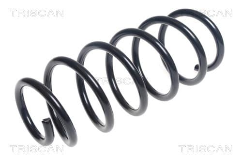 Spiralfjäder fram från TRISCAN