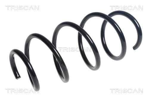 Spiralfjäder fram från TRISCAN