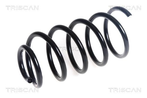 Spiralfjäder bak från TRISCAN