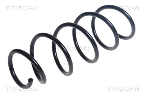 Spiralfjäder fram från TRISCAN