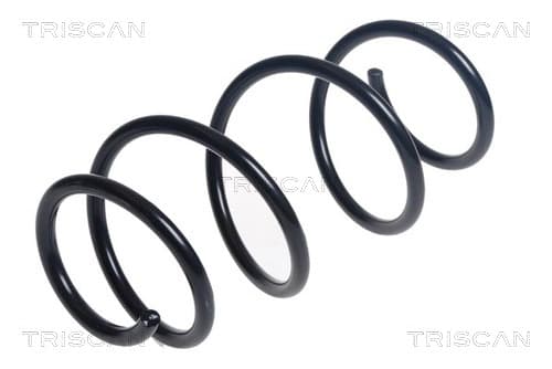 Spiralfjäder fram från TRISCAN