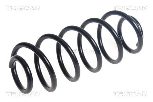 Spiralfjäder bak från TRISCAN
