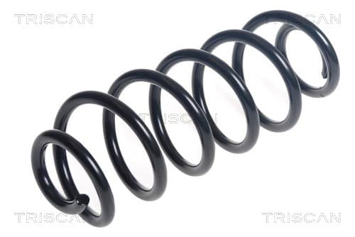 Spiralfjäder bak från TRISCAN