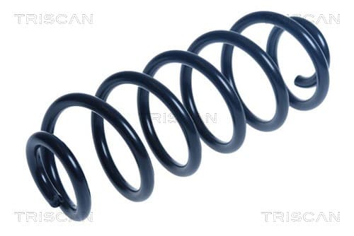 Spiralfjäder bak från TRISCAN