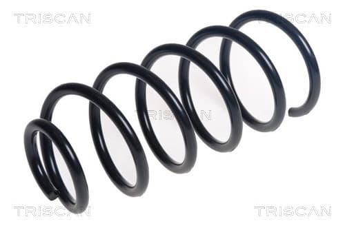 Spiralfjäder bak från TRISCAN