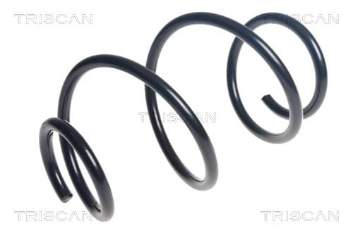 Spiralfjäder bak från TRISCAN