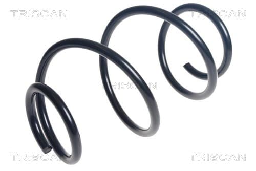 Spiralfjäder bak från TRISCAN