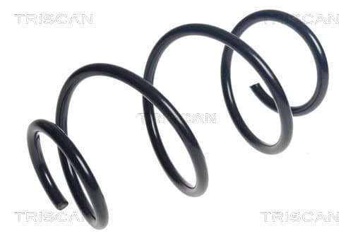 Spiralfjäder bak från TRISCAN