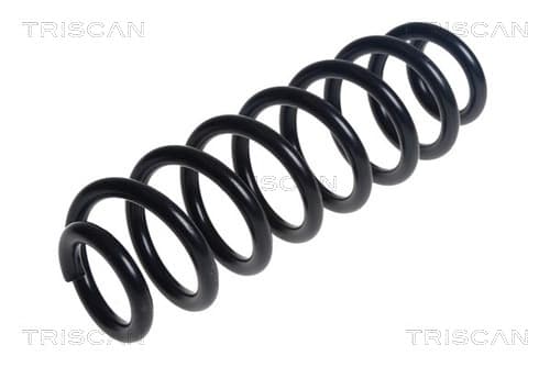 Spiralfjäder bak från TRISCAN