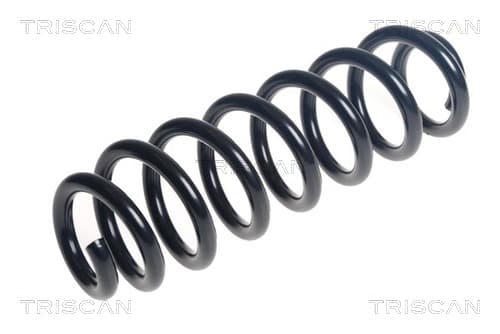 Spiralfjäder bak från TRISCAN