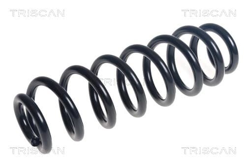 Spiralfjäder bak från TRISCAN