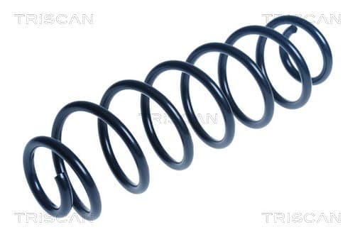 Spiralfjäder bak från TRISCAN